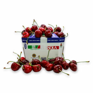 Ciliegie di Vignola IGP, 1 kg