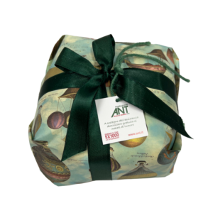Panettone artigianale con gocce cioccolato 1 kg